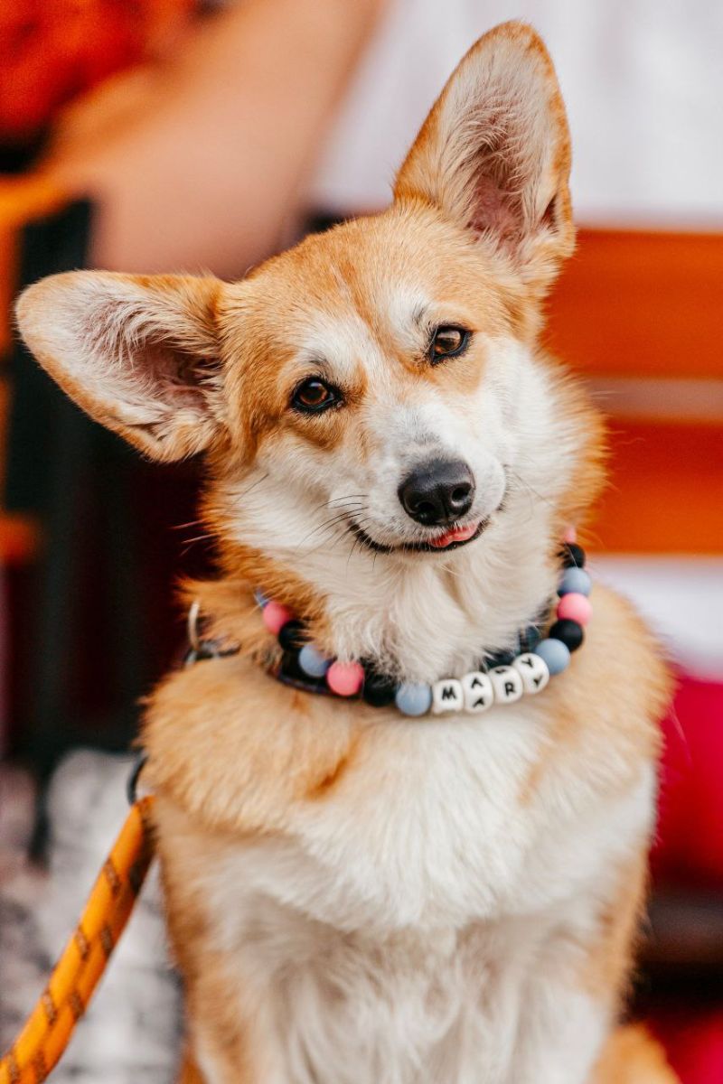 Canestrelli Rozalia Light Dream